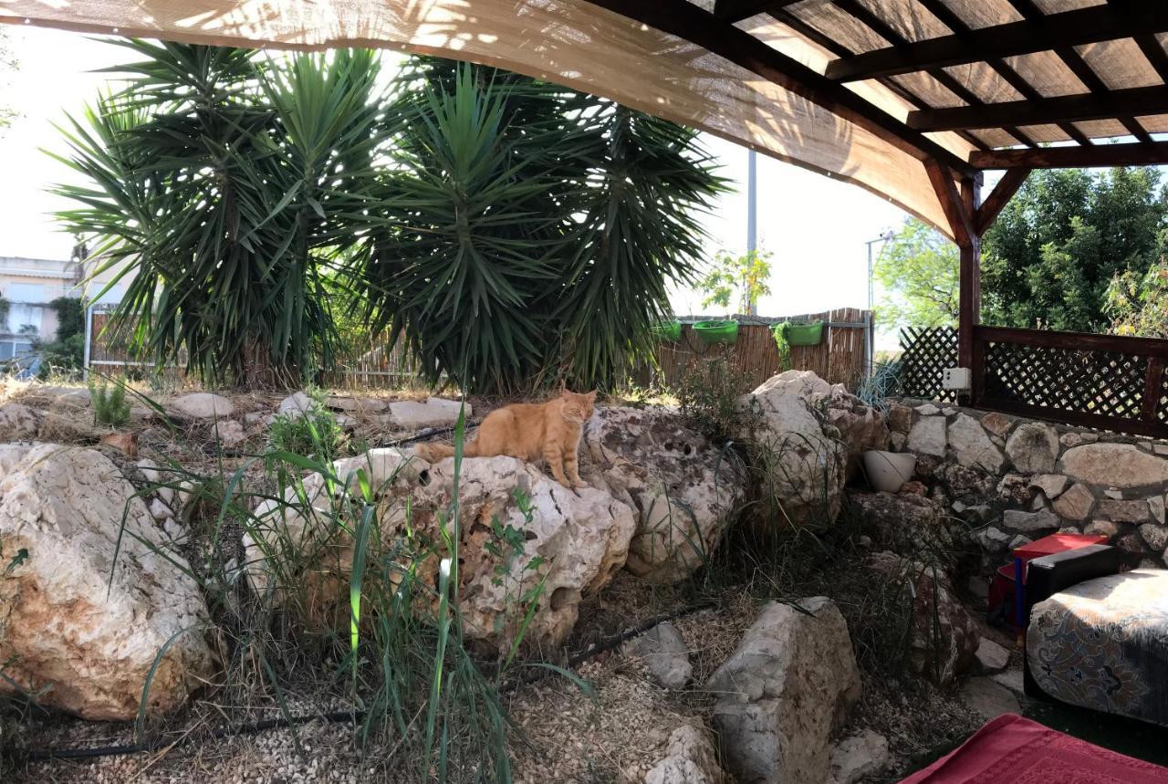 Panorama Kinneret נוף כנרת, צפת Dış mekan fotoğraf